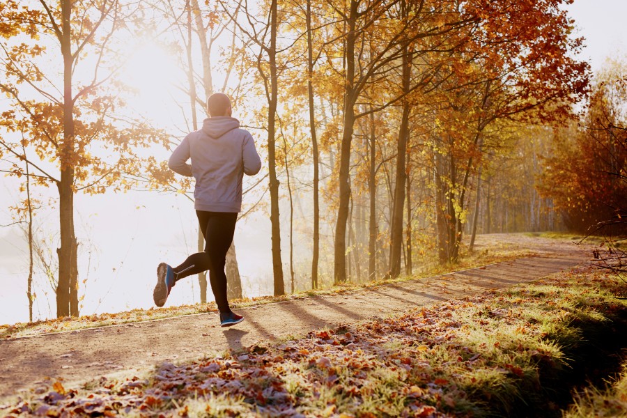 Diabetes and outdoor activities: Making the most of days out