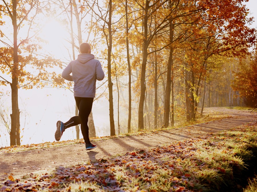 Diabetes and outdoor activities: Making the most of days out