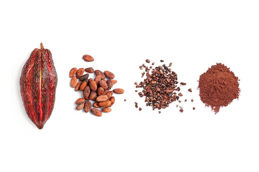 type de chocolat