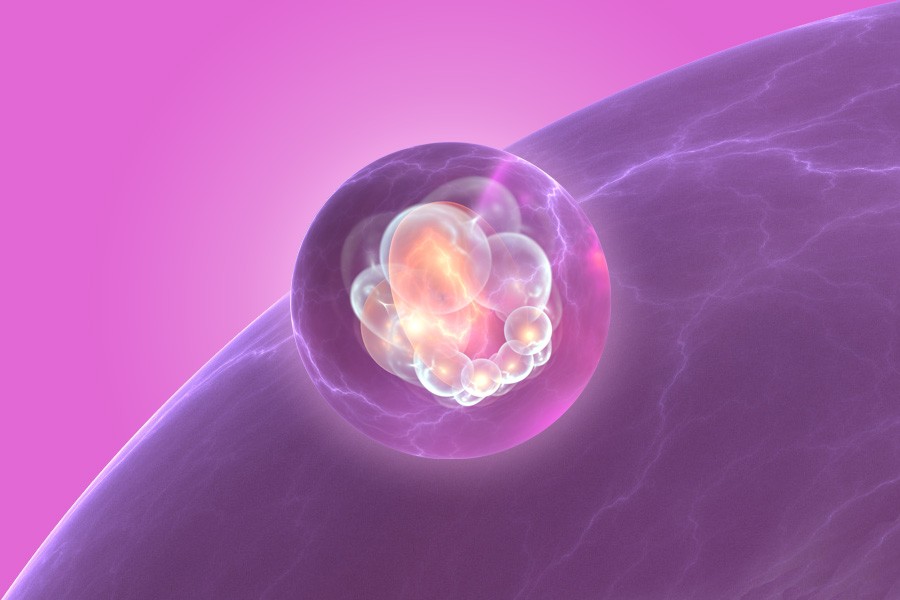 Tratamiento con células madre para la diabetes: tratamiento para la diabetes tipo 1