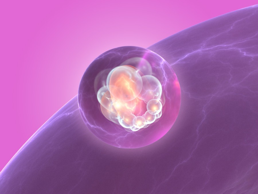 Tratamiento con células madre para la diabetes: tratamiento para la diabetes tipo 1