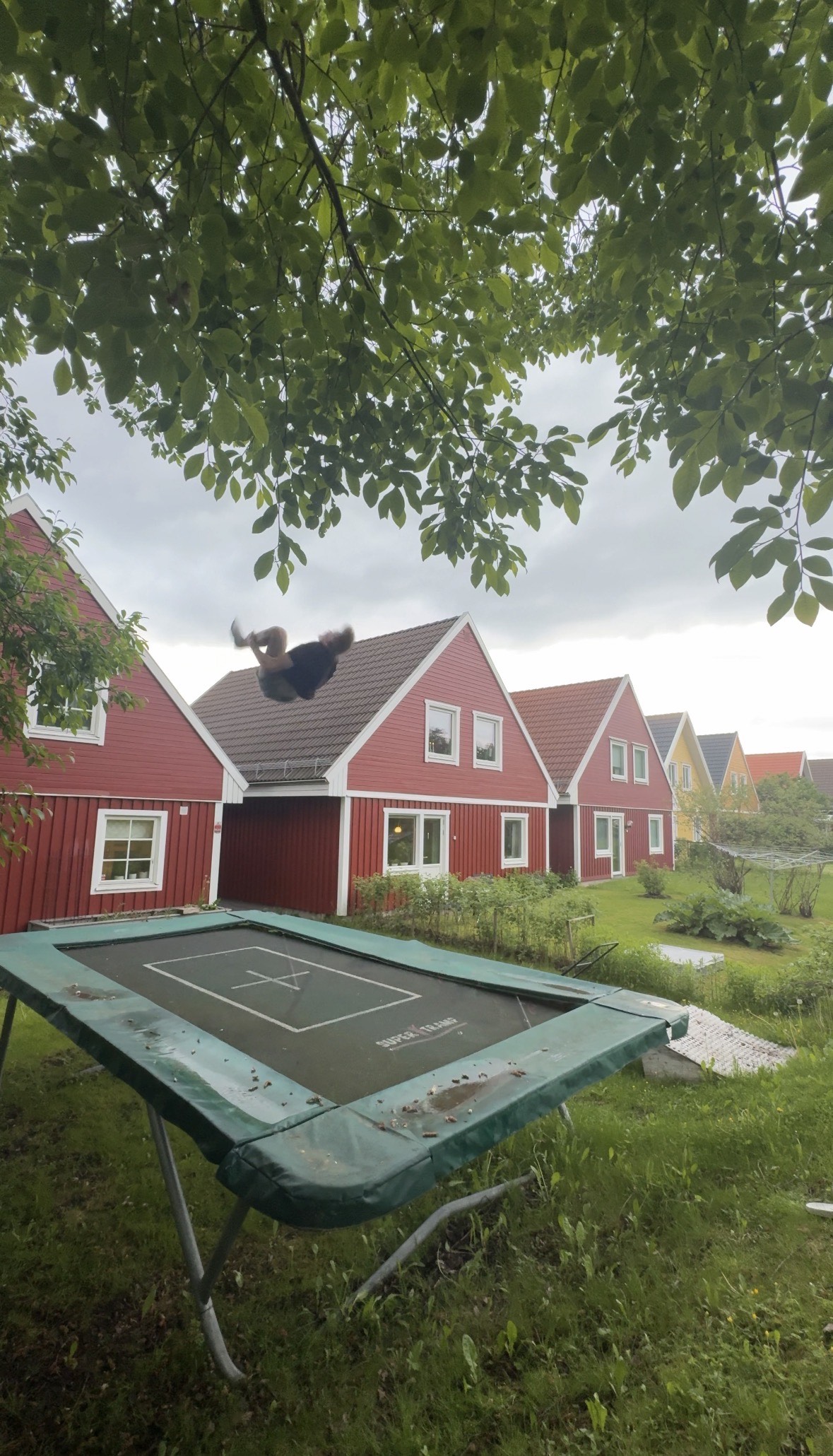 Trampolin & Truppgymnastik