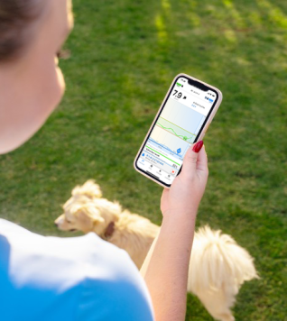 woman-mobile-application-dog-grass-bolus