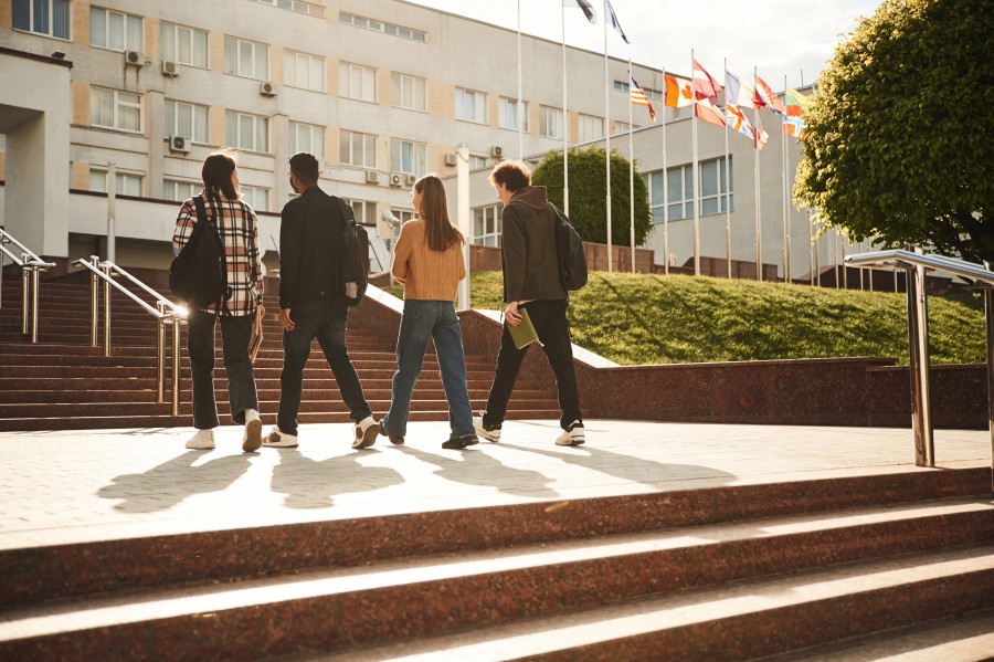السكرى والجامعة
