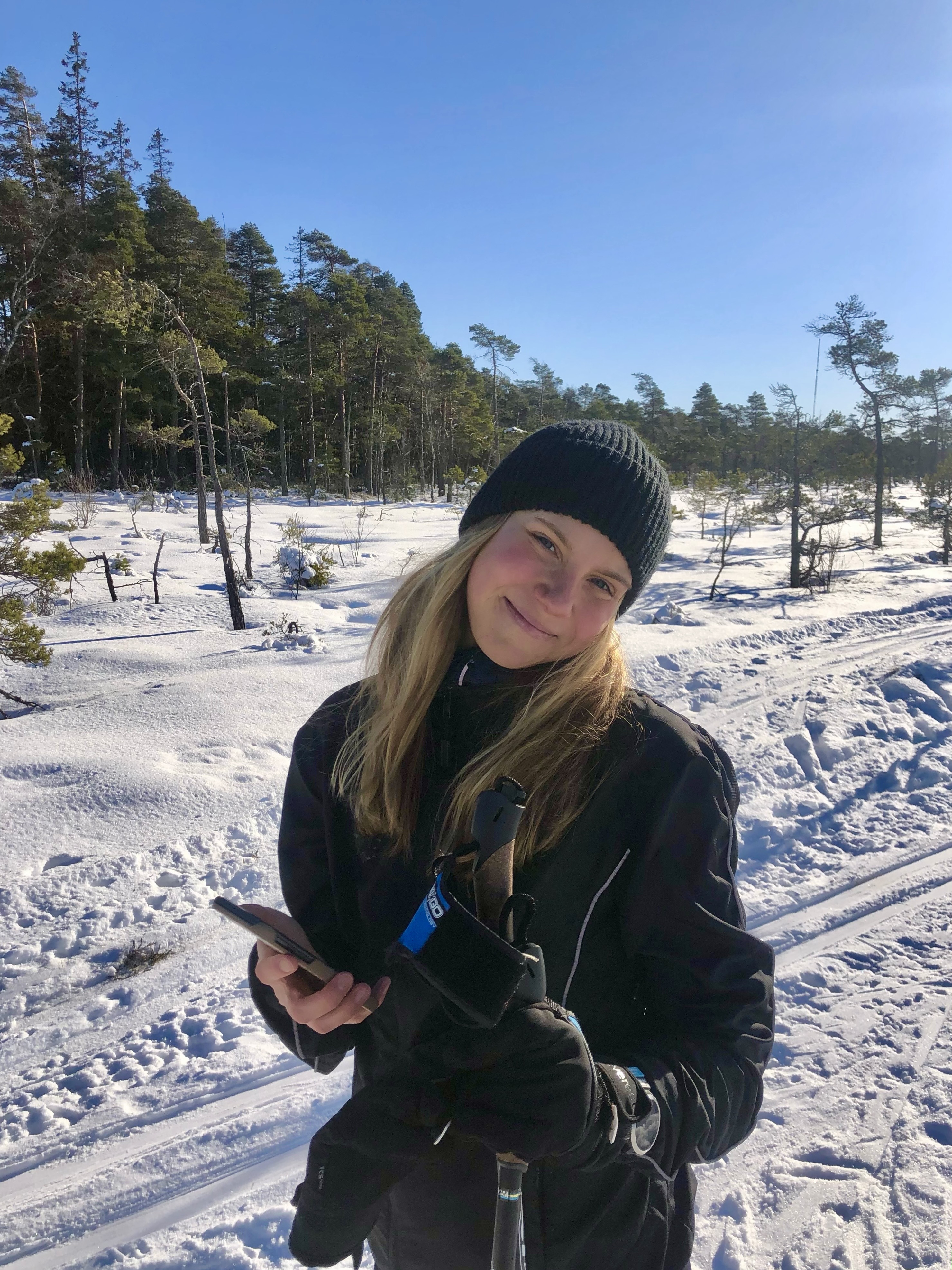 Linn inlägg