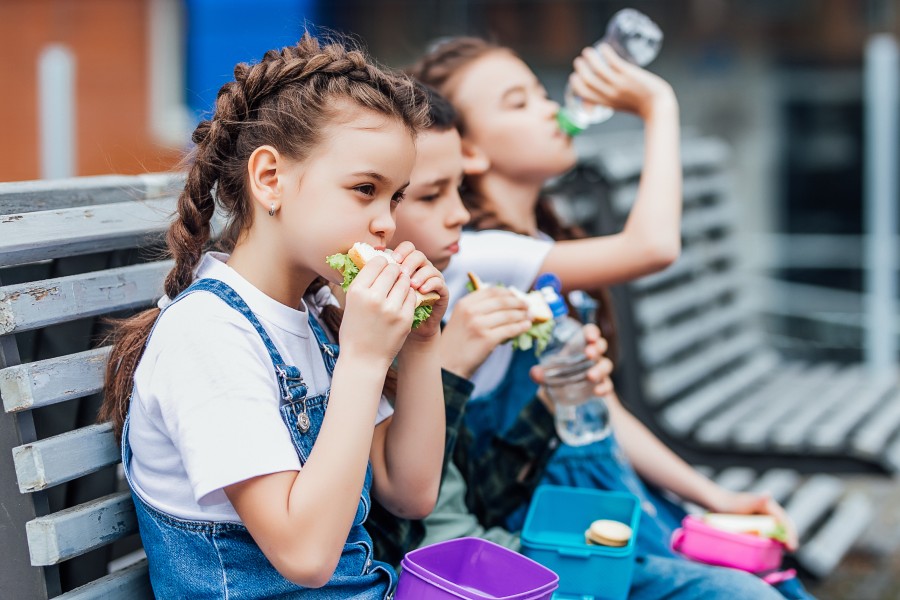 Packed lunches for children living with type 1 diabetes